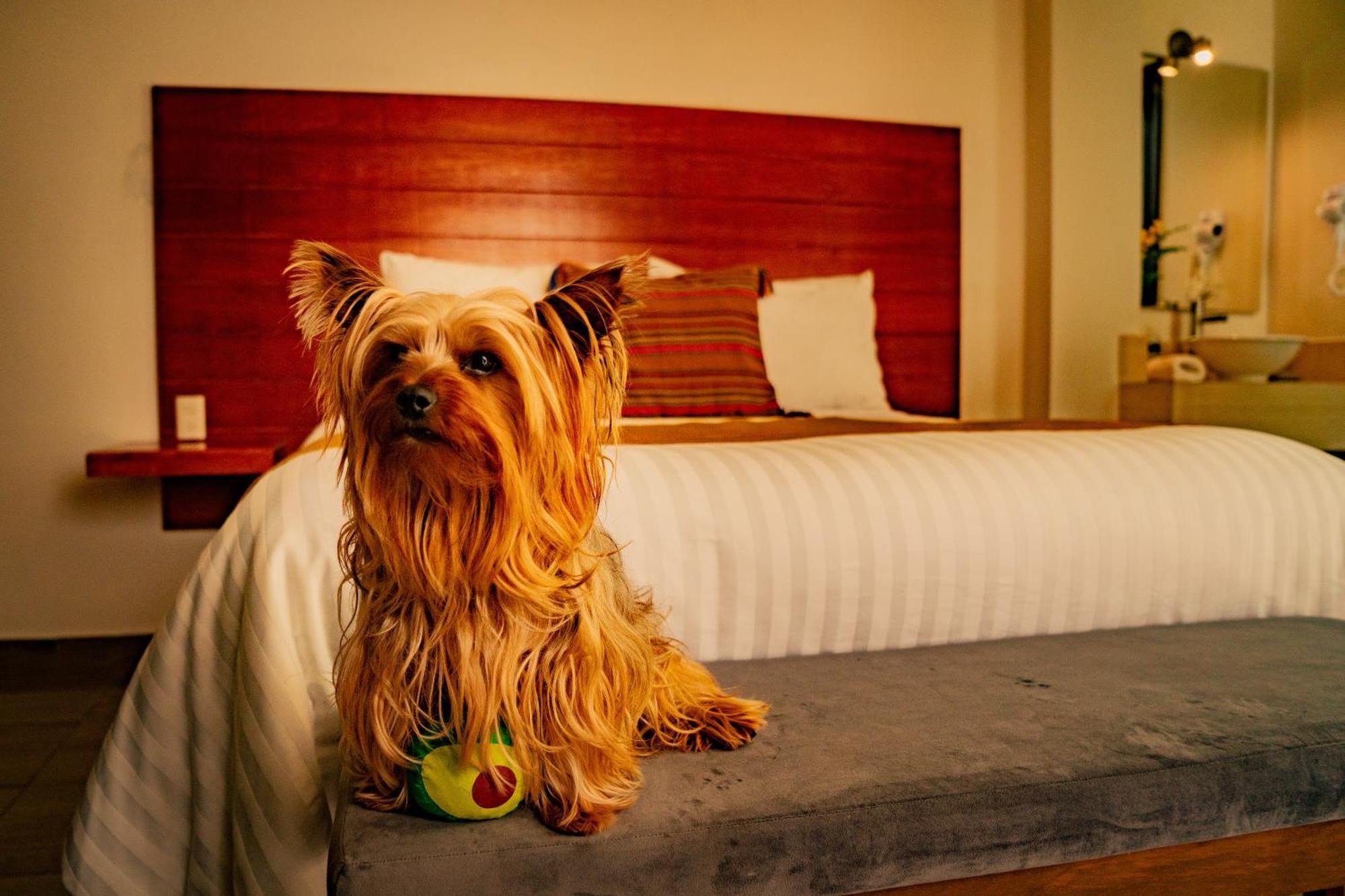 Na Hotel San Cristobal de las Casas Ngoại thất bức ảnh